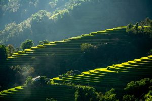 mountains, apartment, nature, step, tree, the light, contrast, plateau